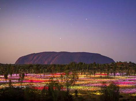 tararua | Staying at The Olgas Campground: A Practical Guide