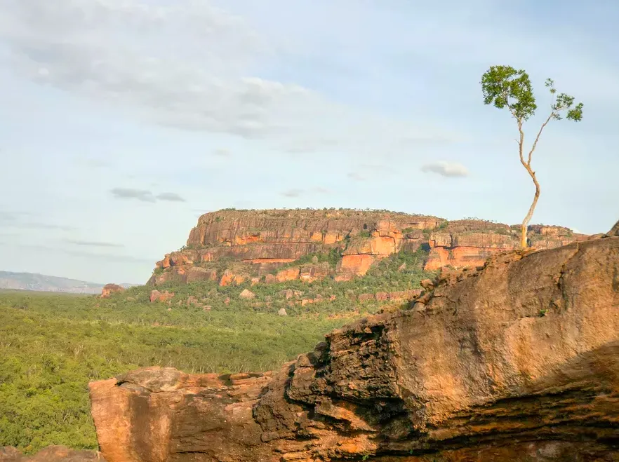 tararua | Nadab Lookout Perch: Views Overlooking Kakadu