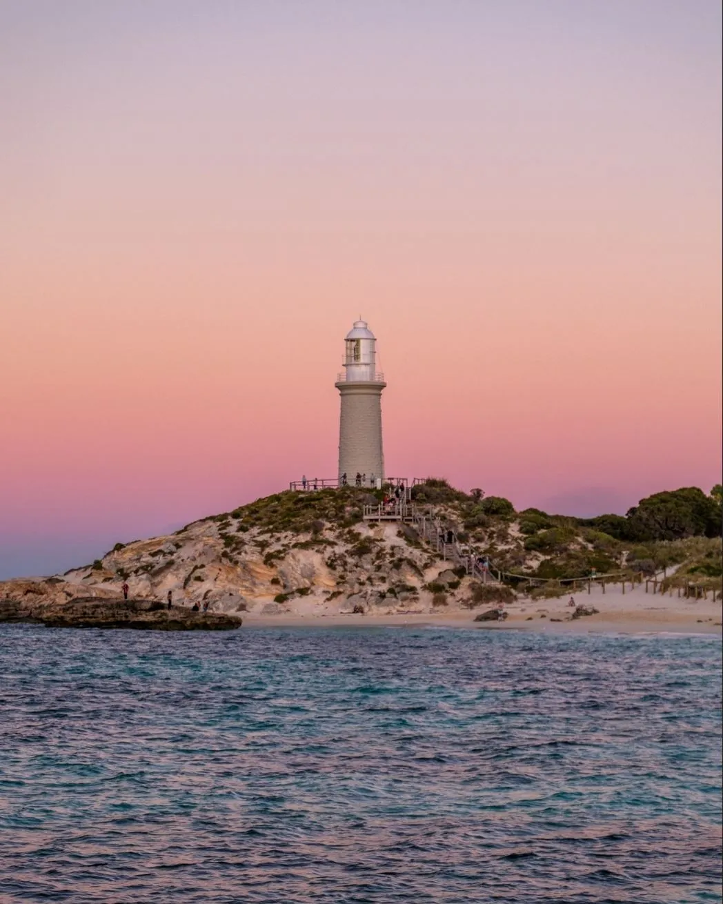 tararua | Snap a Quokka Selfie on Rottnest Island | Ultimate Guide